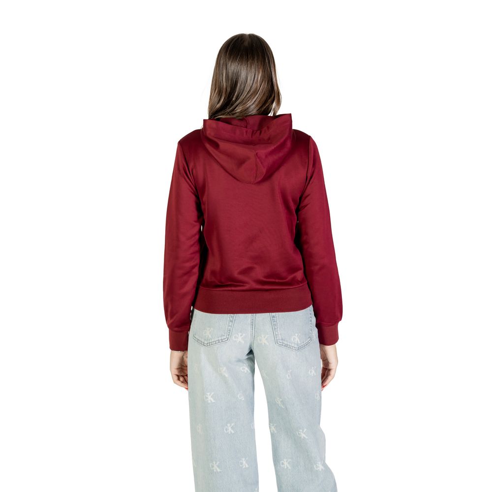 Hoodie Calvin Klein