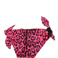 Cueca de Banho Dolce & Gabbana