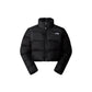 Kispo The North Face