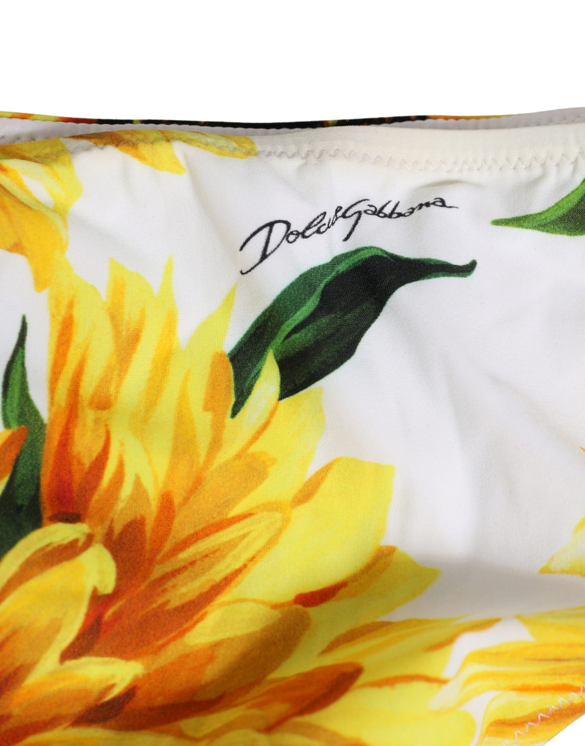 Cuecas de Biquíni Dolce & Gabbana