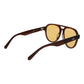 Brown Acetate Sunglasses