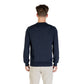 Blue Cotton Sweatshirt