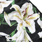 Cueca de Banho Dolce & Gabbana