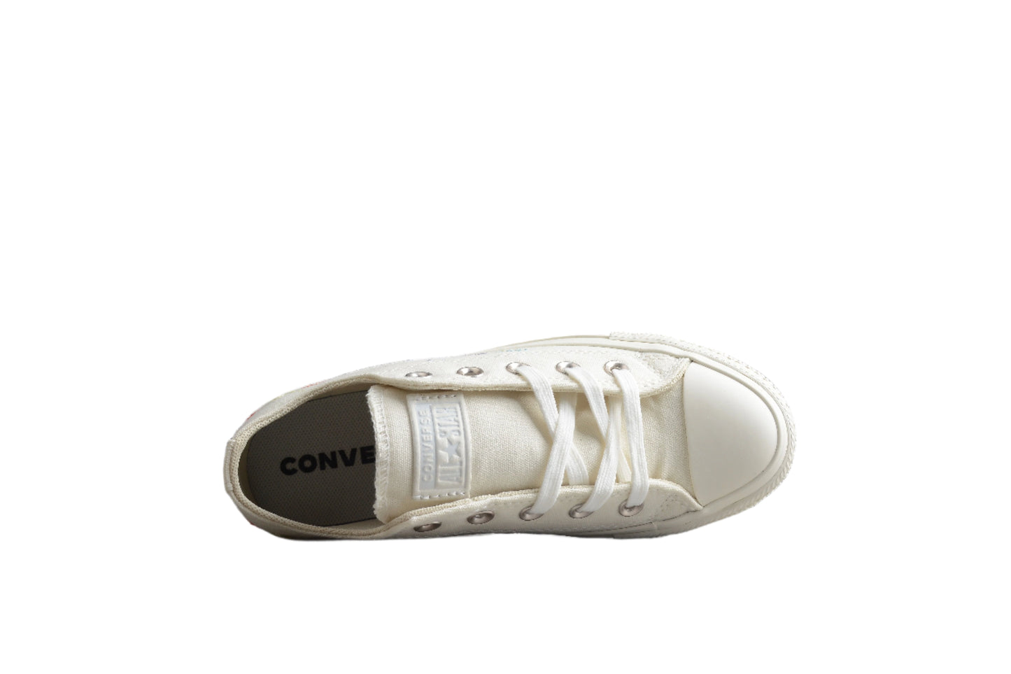 Converse Chuck Taylor All Star "Embroidered Floral"