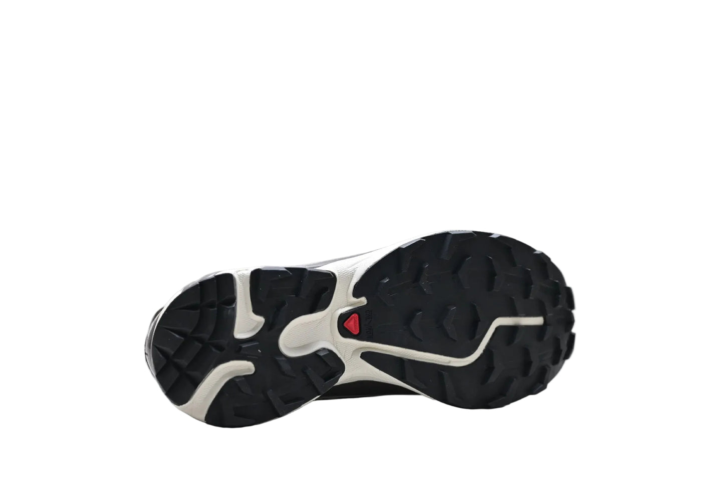 Salomon XT-6